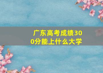 广东高考成绩300分能上什么大学