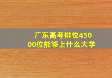 广东高考排位45000位能够上什么大学