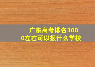 广东高考排名3000左右可以报什么学校