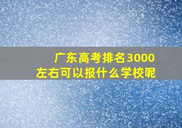 广东高考排名3000左右可以报什么学校呢