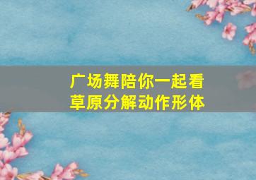 广场舞陪你一起看草原分解动作形体