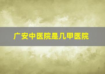 广安中医院是几甲医院