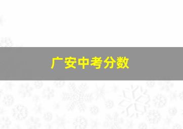 广安中考分数