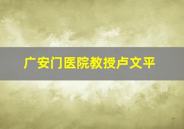 广安门医院教授卢文平