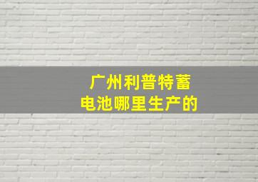 广州利普特蓄电池哪里生产的