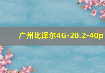 广州比泽尔4G-20.2-40p