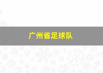 广州省足球队