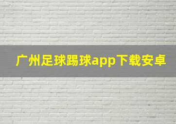 广州足球踢球app下载安卓