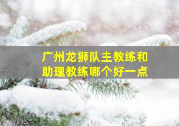 广州龙狮队主教练和助理教练哪个好一点