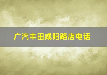 广汽丰田咸阳路店电话