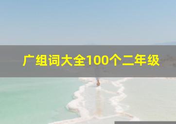 广组词大全100个二年级