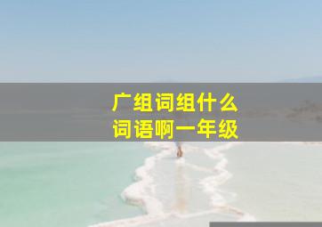 广组词组什么词语啊一年级