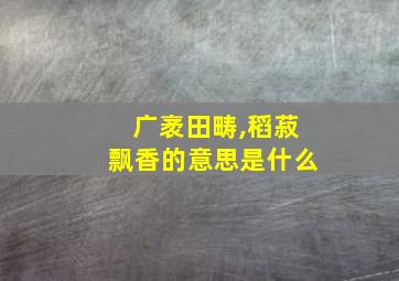 广袤田畴,稻菽飘香的意思是什么