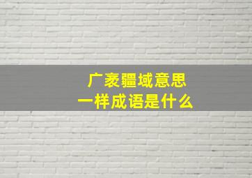 广袤疆域意思一样成语是什么