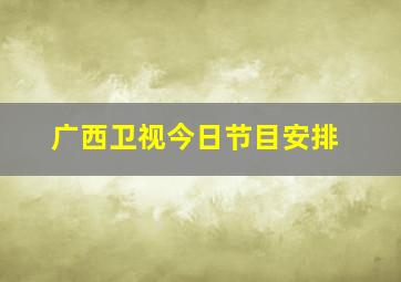 广西卫视今日节目安排