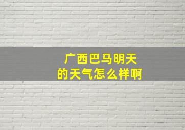 广西巴马明天的天气怎么样啊