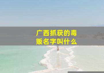 广西抓获的毒贩名字叫什么