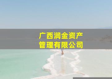 广西润金资产管理有限公司