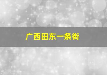 广西田东一条街