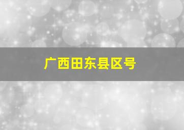 广西田东县区号