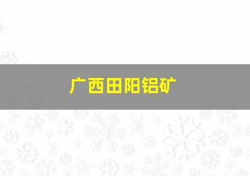 广西田阳铝矿