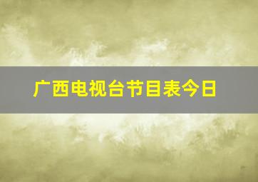 广西电视台节目表今日