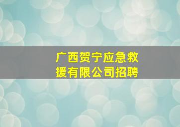 广西贺宁应急救援有限公司招聘