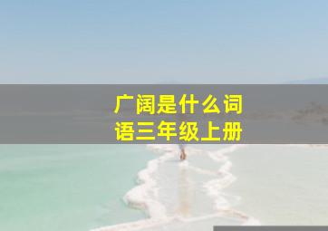 广阔是什么词语三年级上册