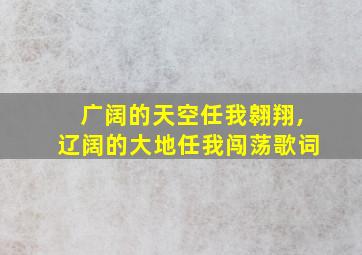 广阔的天空任我翱翔,辽阔的大地任我闯荡歌词