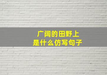 广阔的田野上是什么仿写句子