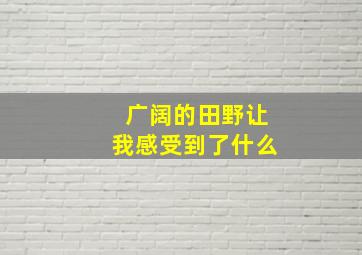 广阔的田野让我感受到了什么