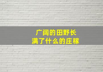 广阔的田野长满了什么的庄稼