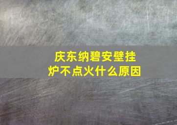 庆东纳碧安壁挂炉不点火什么原因