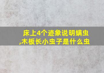 床上4个迹象说明螨虫,木板长小虫子是什么虫