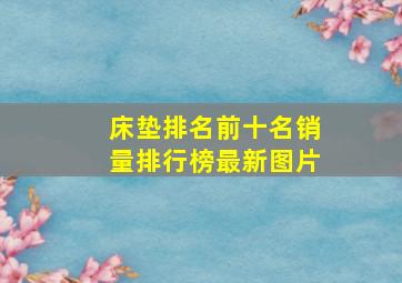 床垫排名前十名销量排行榜最新图片