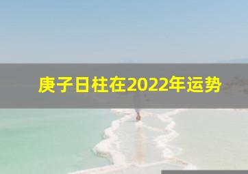 庚子日柱在2022年运势