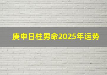 庚申日柱男命2025年运势