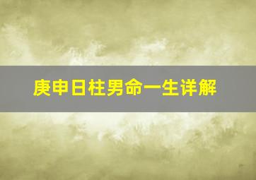 庚申日柱男命一生详解