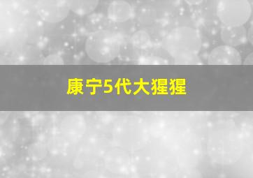 康宁5代大猩猩