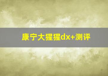 康宁大猩猩dx+测评