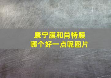 康宁膜和肖特膜哪个好一点呢图片