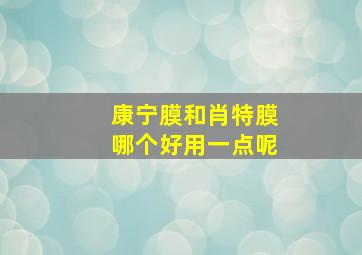 康宁膜和肖特膜哪个好用一点呢