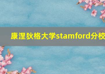 康涅狄格大学stamford分校