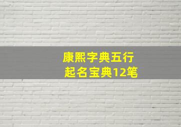 康熙字典五行起名宝典12笔