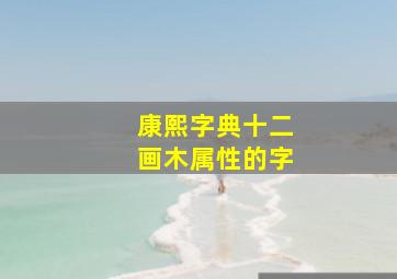 康熙字典十二画木属性的字