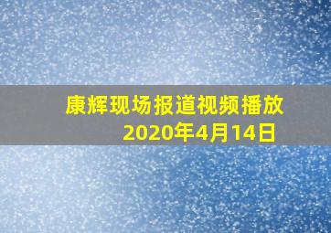 康辉现场报道视频播放2020年4月14日