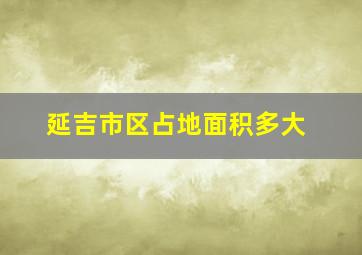 延吉市区占地面积多大