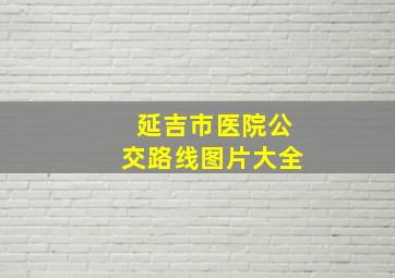 延吉市医院公交路线图片大全