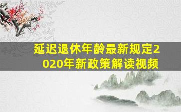 延迟退休年龄最新规定2020年新政策解读视频