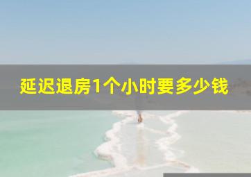 延迟退房1个小时要多少钱